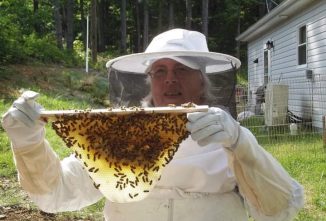 Disability and Beekeeping